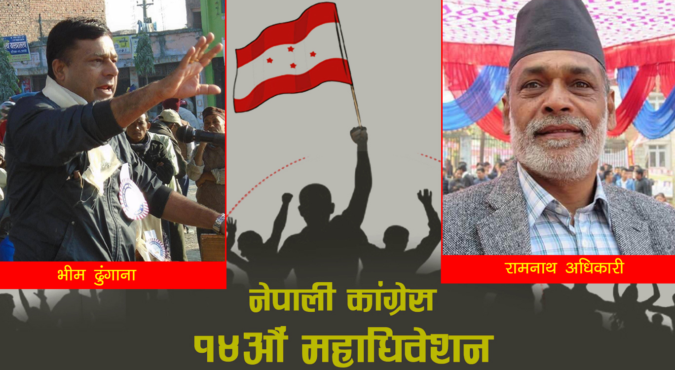 धादिङमा कांग्रेसको अधिवेशन, यस्तो छ हालसम्मको चुनावी परिणाम